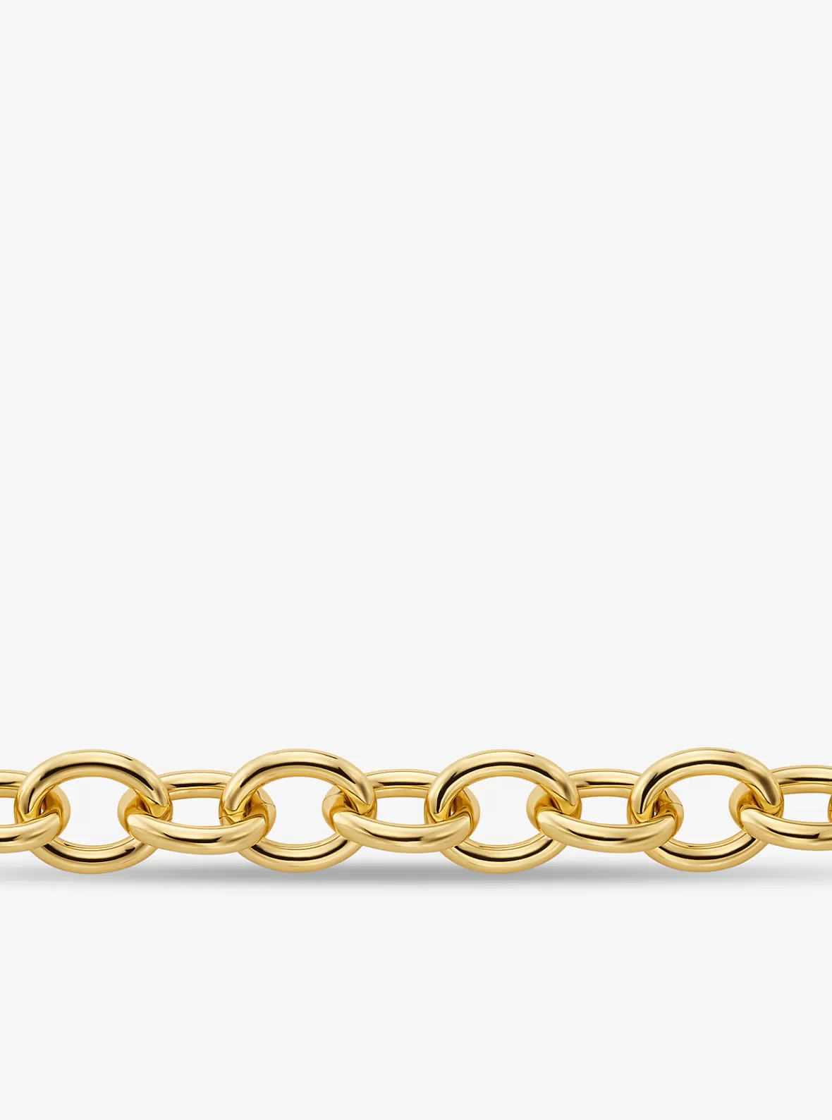 Michael Kors Large Precious Metal-Plated Brass Chain Link Necklace*Women Necklaces